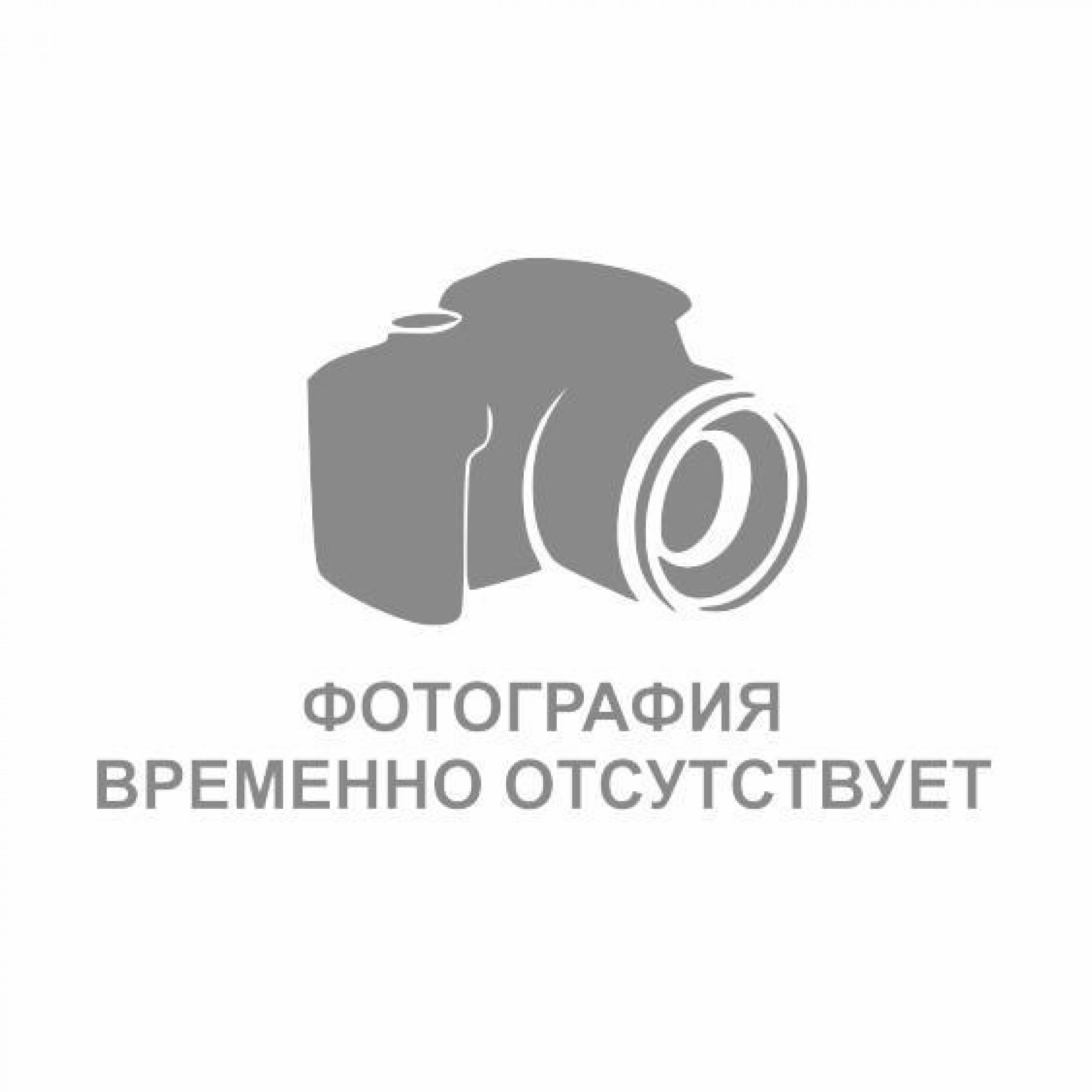 Фото временно отсутствует картинка